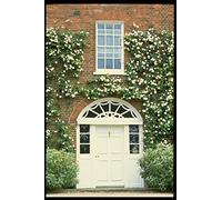 131070 Queen Anne House With Climbing Rose _Cecile Brunner_ A4 Photo Poster Print 10x8
