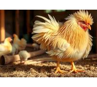 1314 Piece Jigsaw Puzzles for Adults Farm Chickens, Puzzles 1314 Pieces for Adults, 30x20 inch Difficult Jigsaw Puzzles with Letters on Back, Fun puzzle for Family Activity
