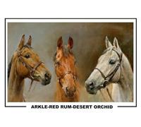(134) Arkle Red Rum Desert Orchid Horse Racing Legends A4 Photograph (21 X 297 CM) Art Work Wall Art Display Great Gift Idea (REPRINT) #####