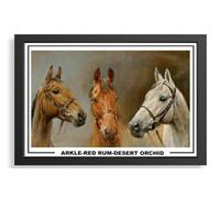 (134) Arkle Red Rum Desert Orchid Horse Racing Legends Framed A4 (21 X 297 CM) Art Work Wall Art Display Great Gift Idea (REPRINT) #####