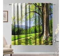 135x229cm 2Panel Mountain Green Trees Sunlight Window Curtains Lush Landscape Drapes for Living Room & Bedroom Elegant Home Decor Light Filtering