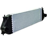 1362067J02 Intercooler Replacement For Suzuki Grand Vitara II Escudo 1.9 DDIS