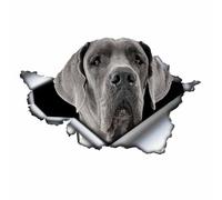 13cm 7cm 1 Pcs 3D Black Cane Corso Car Sticker Torn Metal Decal Reflective Stickers Waterproof(8)