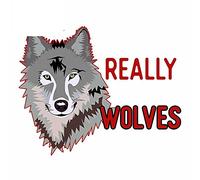 13cmx10.7cm for I Just Really Like Wolves Car Sticker Anime Personality Window
