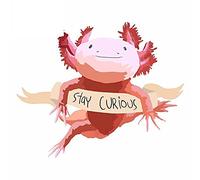 13cmx10.8cm for Stay Curious Axolotl Car Accessories Refrigerator Windows Windshield Car Decor