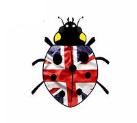 13cmx11.1cm Funny Ladybird Design with UK Union Jack British Flag Motif External