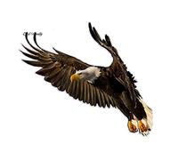 13cmx11cm Car Styling Flying Eagle Decal Print Die Cutting Funny Car Stickers DIY