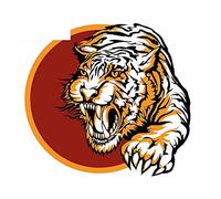 13cmx12.1cm for Roaring Tiger Logo Design Waterproof 3D Funny Car Sticker 3D