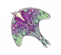 13cmx12.3cm for Luna Moth Vinyl Car Stickers Creative Graffiti Bumper Trunk Decal