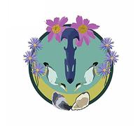13cmx12.7cm for Common Eider Car Stickers Vinyl Scratch Proof Fine Decoration Custom