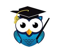 13cmx12.7cm for Wise Owl Car Stickers Funny Car Decal Vinyl Material Scratch