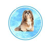 13cmx12.8cm Funny Car Sticker for Lhasa Apso Windows Decal Creativite Refrigerator Occlusion