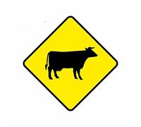 13cmx13cm Car Decal Ireland Road Sign Personality Car Sticker Window Car Bumper Decor