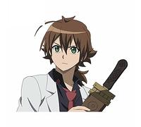 13cmx13cm for Akame Ga Kill Vinyl Decal DIY Laptop Bumper JDM Assessoires Scratch