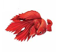 13cmx4.2cm for Betta Fish Motorcycle Car Stickers Scratch Proof Window Trunk Decal