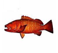 13cmx6.2cm Red Snapper Fish Fishing Car Sticker Creative Waterproof Reflective PVC Decor
