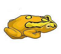 13cmx6cm for Orange Frog Yellow Spots Realistic RV Occlusion Scratch Motorcycle Car Stickers