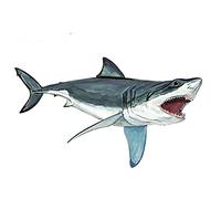 13cmx7.7cm Great White Shark Vinyl Decal Home Office Kitchen Dorm Wall Art