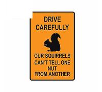 13cmx8.6cm for Drive Carefully Our Squirrels Car Stickers Anime Decal Vinyl Material