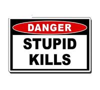 13cmx8.7cm Stupid Kills Danger Warning Decal OEM JDM Car Truck Bumper Vehicle