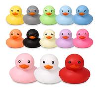 13Pcs Rubber Ducks, Colourful Duck Set, Bath Time Water Play and Learning , Car Dashboard Decor and Sensory Play Items, Assorted Colours Including Yellow Red Pink Orange White Black Grey Green Blu