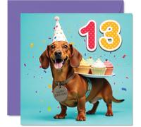 13th Birthday Cards for Boys Girls - Party Dog - Happy Birthday Card for 13 Year Old Boy Girl Nephew Cousin Niece Sister, 145mm Bday Greeting Cards
