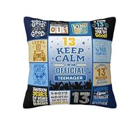 13 Year Old Boy Gifts, 13th Birthday Decorations for Boys, Happy Birthday Gifts for 13 Year Old Boys, Coolest Gifts for 13 Year Old Boys, Best 13th Birthday Gifts for Teenager Boys Throw Pillow Cover