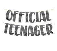 13th Birthday Party Decorations, Official Teenager Glitter Banner Party, 13th Birthday for Boys Party Decorations for Girls & Boys, Pre-Strung Reusable Birthday Banner, No DIY Required