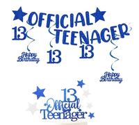 13th Boy Official Teenager Banner and 1PC Birthday Cake Toppers, 6PCS Blue Hanging Streamers for Girls Boys 13 Years Old Party Ideas Decoration