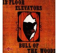 13th Floor Elevators - Bull of the Woods