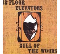 13th Floor Elevators - Bull of the Woods