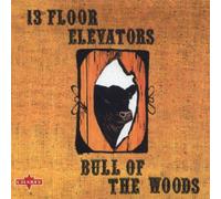 13th Floor Elevators - Bull Of The Woods
