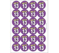 13th Thirteenth Birthday OMG Funny Circular Matt Paper Stickers A4 Sheet of 24 (Each Sticker is 45mm Diameter)