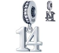 14 Birthday Dangle Charms fits Pandora Open Bracelet, 925 Sterling Silver 14th Anniversary Pendant Beads with Birthstones, Number 14 Year Bday Gifts for Brother/Sister/Grandkids