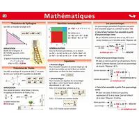 14.MATHEMATIQUES/SURFACES ET VOLUMES MINI POSTER LE PETIT NICOLAS