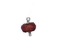 14 Mukhi Rudraksha Java Silver Capped Small Size (12-14mm) Lab Certified