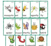 14 Pcs Insect Flash Cards, Learning First English Word Cards for Teacher/Autism Therapists Home school ESL Teaching Aid Materials, Tools