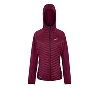 (14 UK, Dark Pimento) Regatta Womens/Ladies Anderson Hybrid Jacket