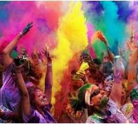 14 X 50G OR 100GM BAGS HOLI POWDER, COLOUR RUN, THROWING POWDER, PARTY GENDER REVEAL POWDER (50)