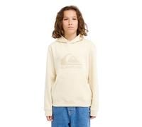 (14 Yrs, Bone) Quiksilver Kids Comp Logo Pullover Hoodie