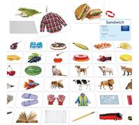 140 Noun Picture-Word Cards, Picture Flashcards Language Builder Visual Aid Speech Development Tool for Autism, ESL Teaching Materials for Adults, Non-Verbal Children Vocabulary Builder for Toddlers