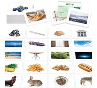 140 Noun Picture-Word Cards, Picture Flashcards Language Builder Visual Aid Speech Development Tool for Autism, ESL Teaching Material Non-Verbal Vocabulary Builder for Children, Kids, Adults (Level 2)