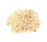140 Pcs Mini Natural Dried Flowers, Little Star Colorful Dried Flowers Heads for Drip Bonding Form filling material, Real Natural Tiny Dried Flowers Bulk for Jewelry Candle Card Making (White)