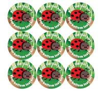 144 Personalised Ladybird Reward Stickers For Children, School Teachers & Parents - Colourful, Easy Peel Stickers With Strong Adhesive Glue [144 30mm Stickers]