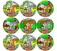 144 Personalised Nutty Squirrels 30mm Glossy Reward Stickers for School Teachers, Parents