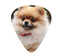 144 Pieces Guitar Picks Bulk, 3 Different Thickness Custom Guitar Picks with Storage Box, Pomeranian Short Hair Guitar Accessories for Guitar Lovers