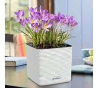 14Cm Planter, White Plastic Lechuza Cube Color Self-Watering Small Square Planter, Garden Pot, Indoor Plant Pot