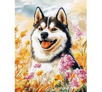14Ct Cross Stitch, 14 Count Counted Stamped Pre Printed Cross Stitch Akita Dog In The Seaside Embroidery Kits For Adults Beginners Starter Advanced Easy Crossstitch Patterns Set 15.7X19.7Inc