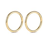 14G 2Pcs G23 Titanium Nose Hoop Ring Higned Segment Clicker Ring Seamless Nose Ring Septum Jewellery Conch Hoop Cartilage Helix Tragus Hoop Earrrings Hoop Sleeper Piercing Jewellery 7mm Gold