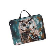 14in Laptop Sleeve Bag, Lightweight Waterproof Laptop Bag Shockproof Soft Carrying Case Animal Cute Owl Tablet Travel Cover with Handle for 13-14 Inch Notebook